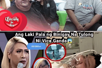 Vice Ganda, Nagpaulan ng Napakalaking Tulong kay Dumbo—Grabe, Hindi Mo Aakalain ang Halaga!