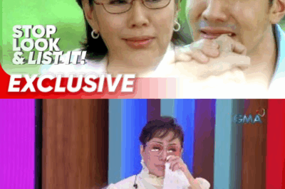 Luha at Pighati: Vilma Santos, Hindi Napigilang Umiyak kay Tito Boy Habang Inamin ang Matinding Sakit Dahil kay Luis Manzano – ‘Hindi ko na kayang itago pa…