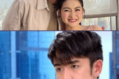 Lihim na Video nina Barbie Forteza at David Licauco, Nag-viral! Yakapan sa Pribadong Sandali—May Tinatago Ba Sila? Engaged na Nga Ba?