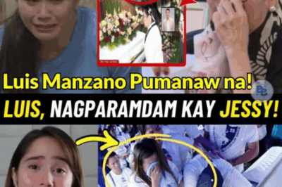 🔥LUIS MANZANO NAGPAHIWATIG SA BUROL NIYA! JESSY MENDIOLA MAY NAKAKAKILABOT NA IBINUNYAG!